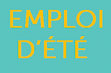 Emploi été 2020