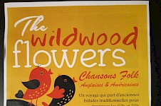 Concert du groupe The Wildwood Flowers