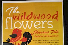 Concert du groupe The Wildwood Flowers