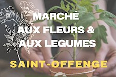 Marché aux fleurs et légumes du sou des écoles - mai 2023