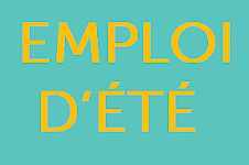 Emploi été 2024