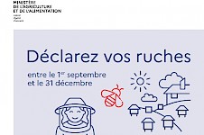 Déclaration ruches