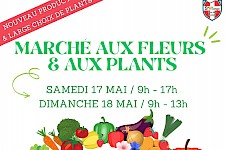 Marché aux fleurs et aux plants du sou des écoles - mai 2025
