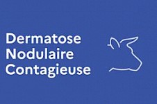 Dermatose Nodulaire Contagieuse