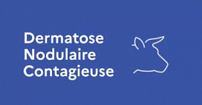 Dermatose Nodulaire Contagieuse